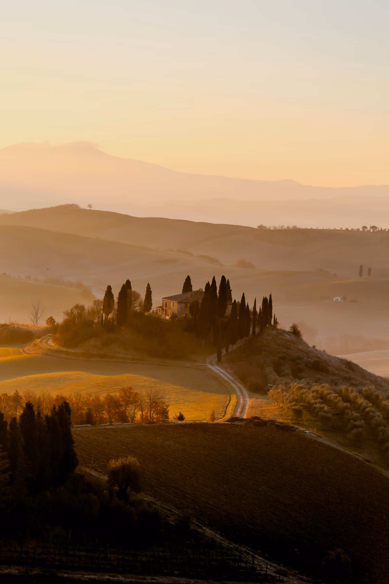 A Tuscan farmhouse among cypresses at sunrise