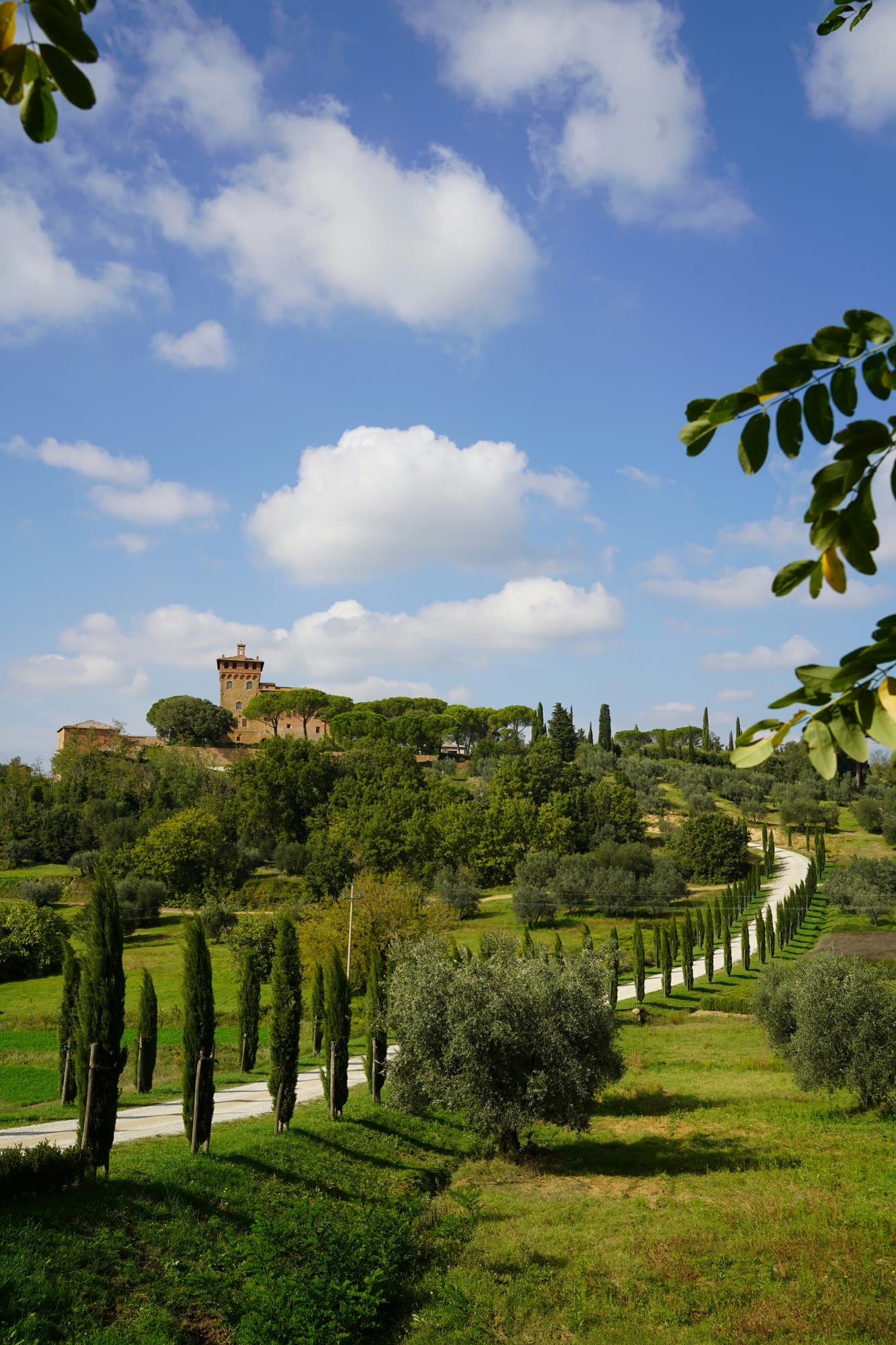 A cypress-lined road winding through the Tuscan countryside to a hilltop villa