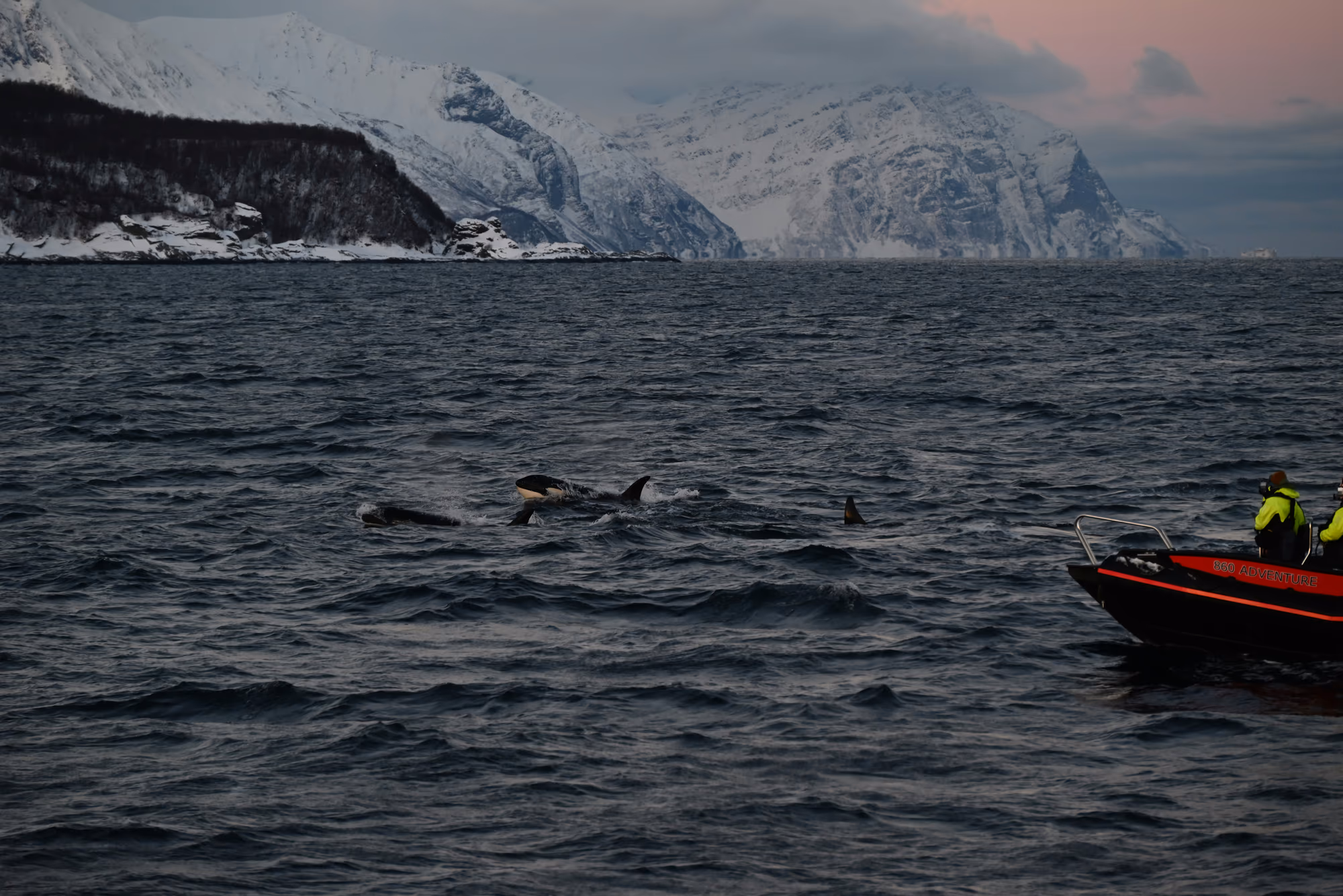 The Arctic coast of Northern Norway